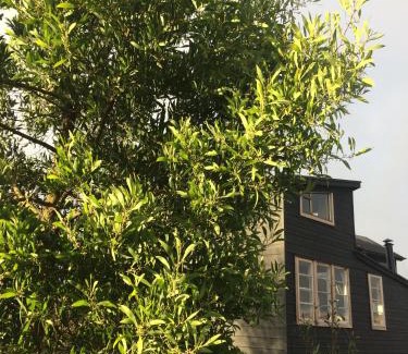 Nercon House | Relax at Casa Chakana Chiloé with Hot Tub Amenities