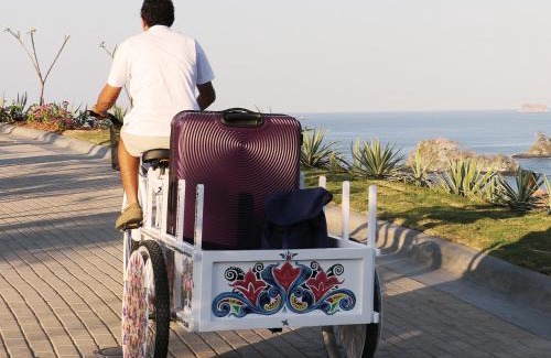 Las Catalinas Hotel | Adults Only Oasis: Casa Chameleon Hotel with Ocean View