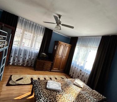 Ocna Sugatag House | Family-Friendly Casa Chindris: Highly Rated with Kitchen Access