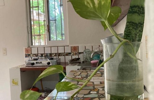 Santa Maria Tonameca Apartment | Pet-Friendly Casa Chontal: Guest Rated 10/10 Experience