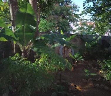 San Isidro House | Casa Coco Cabana