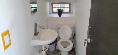 Ursulo Galvan House | Casa Cocodrilo