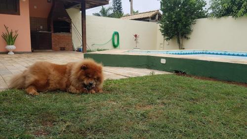 Ogiva House | Relax at Casa com Piscina e Churrasqueira in Cabo Frio