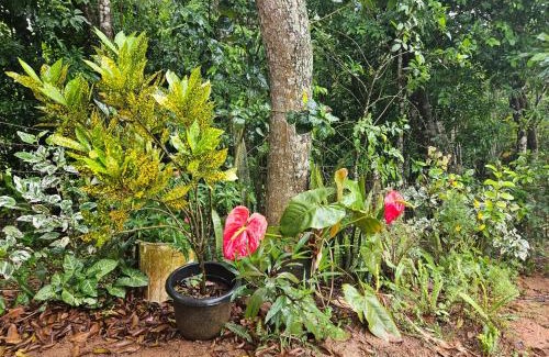 Guaramiranga House | Relaxing Retreat: Casa com Piscina em Guaramiranga