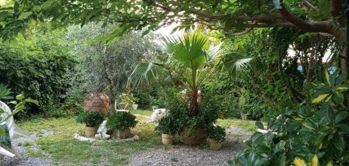 Burriana House | Beachfront Casa with Garden – Pet Friendly & Ocean Views