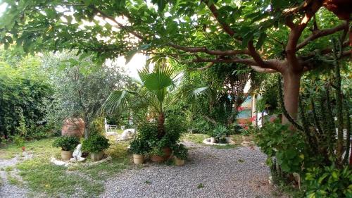 Burriana House | Beachfront Casa with Garden – Pet Friendly & Ocean Views