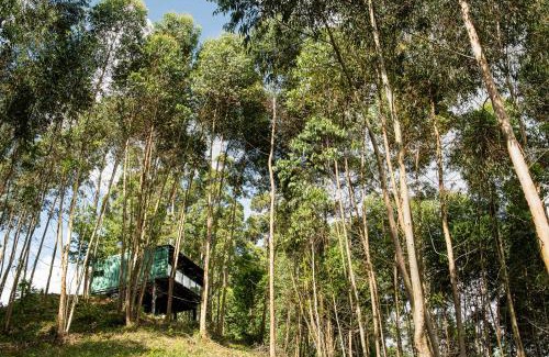 Flores da Cunha House | Discover Casa Container FIGO in Nature-Lovers’ Paradise