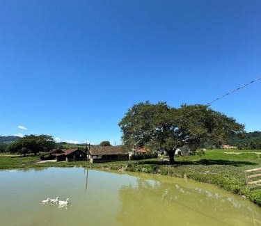 Rio Fortuna House | Guest Rated 9.6: Casa Container - Family & Pet Friendly Stay