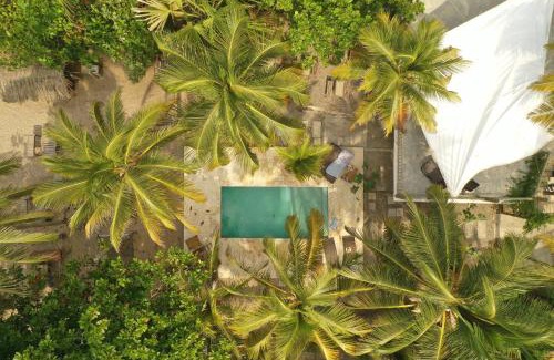 Palomino Hotel | Discover Casa Coraje: Family-Friendly Beachfront Retreat