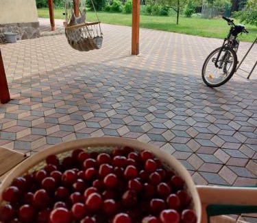 Sinpetru House | Family-Friendly Casa Costache with Hot Tub & Kitchen