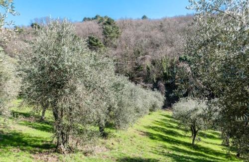 Giugnano Villa | Inviting Villa Costanza: Family & Pet-Friendly Retreat