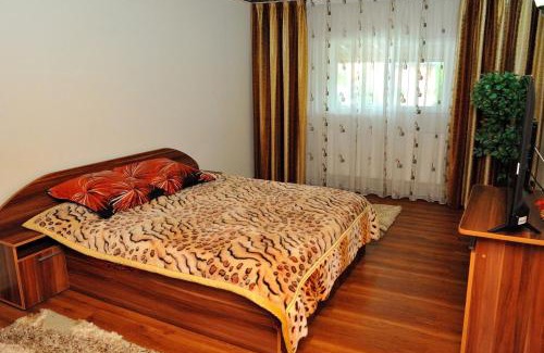 Bradu Apartment | Discover Family-Friendly Comfort at Casa Cri și Ramo