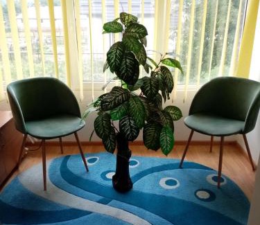 Campulung Moldovenesc House | Casa Cristian: Pet-Friendly Stay with Breakfast Included