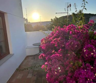 Alte Bed & Breakfast | Delight in Casa d'Alte: Pet-Friendly with High Guest Ratings