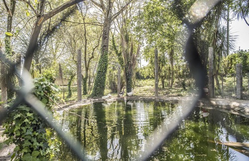 Portela House | Discover Casa das Amendoeiras: Ideal for Families