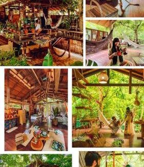 Alter do Chao Hotel | CASA DA ARVORE: Your Dream Escape by the Amazon Beach