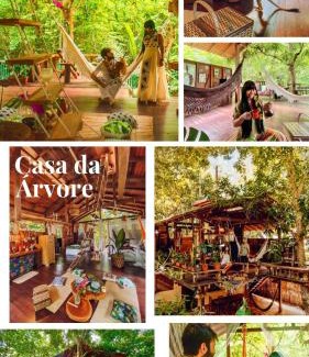 Alter do Chao Hotel | CASA DA ARVORE: Your Dream Escape by the Amazon Beach