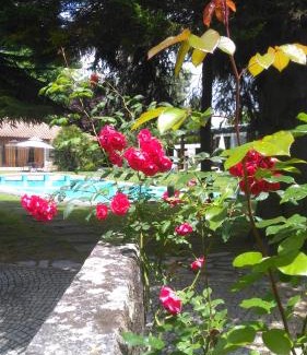 Santa Maria da Feira House | Relax at Casa da Boavista: 4-Star Oceanfront Retreat