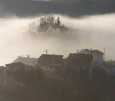 Moitas House | Pet-Friendly Retreat: Casa da Carvalha - Ádela Awaits You