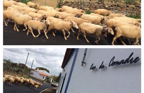 Sao Pedro do Corval House | Family-Friendly Stay at Casa da Comadre - Casas de Taipa