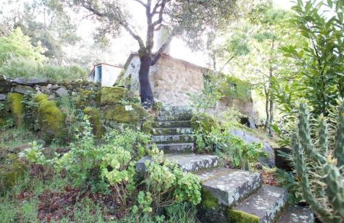Agueda House | Discover Nature at Casa da Eira - Pet Friendly Retreat