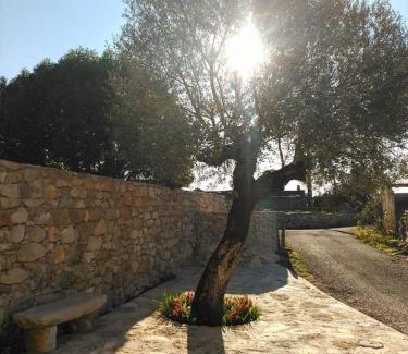 Alcobertas House | Family-Friendly Retreat at Casa da Figueirinha, Rated 8/10