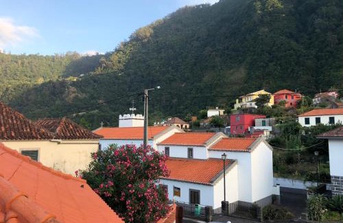 Arco de Sao Jorge House | Charming Casa da Igreja: Pet-Friendly Oceanfront Getaway