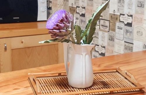 O Freixo House | Pet-Friendly Retreat at Casa da Mestre - Rated 9.2/10