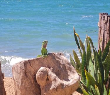 Icapui House | Relax at Casa da Peroba Sol with Oceanfront Views