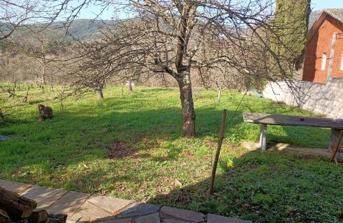 Quiroga House | Child-Friendly Getaway at CASA DA RIBEIRA - Guest Rated 9.3
