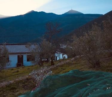 Parada House | Explore Casa Da Russa: A Pet-Friendly Mountain Retreat