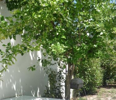 Gois House | Welcoming Casa da Terra: Pet-Friendly & Highly Rated Stay