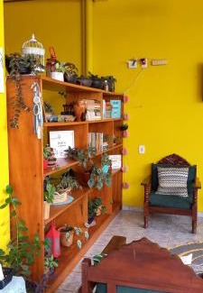 Alter do Chao House | Casa da Vila - Ideal Stay Near Alter's Vibrant Center