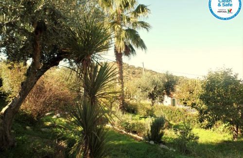 Arraiolos House | Casa das 3 Palmeiras: Pet-Friendly Oasis with Ocean Views