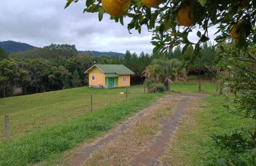 Doutor Pedrinho House | Cozy Casa das Palmeiras: Pet & Child Friendly Retreat