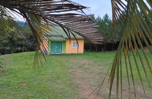 Doutor Pedrinho House | Cozy Casa das Palmeiras: Pet & Child Friendly Retreat
