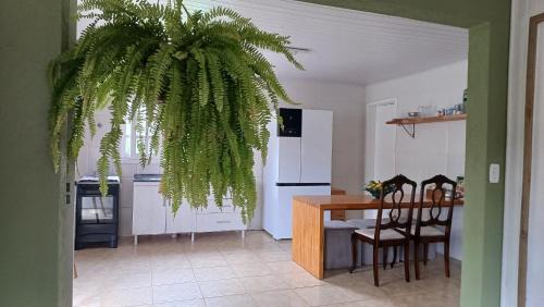 Gravatal House | Child-Friendly Escape at Casa das Plantas - Rated 9/10
