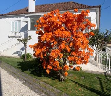 Pacos De Ferreira House | Enjoy Exceptional Oceanfront Stays at Casa das Uveiras