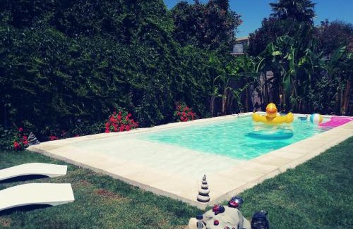 San Juan House | Experience Casa de Alquiler San Juan: Pet-Friendly Retreat
