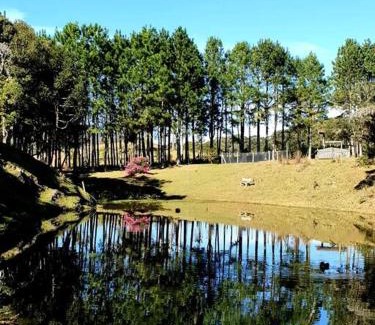Anitapolis Ski Chalet | Pet-Friendly Retreat at Casa de Campo - Guest Rated 10/10