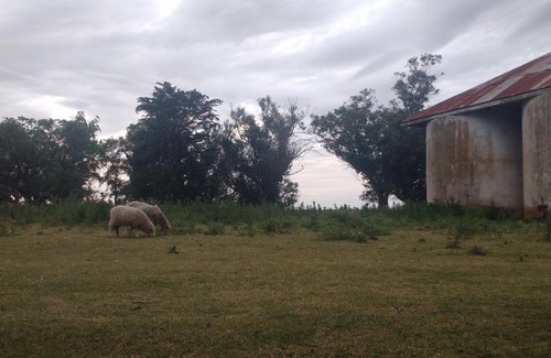Partido de Tres Arroyos House | Scenic Casa de Campo with Kitchen & Pet-Friendly Stays