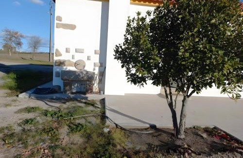 Idanha-a-Nova Apartment | Casa De Campo Das Oliveiras