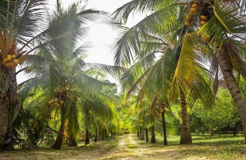 Cienaga de Oro Apartment | Pet-Friendly Retreat at Casa de Campo in Cienaga de Oro
