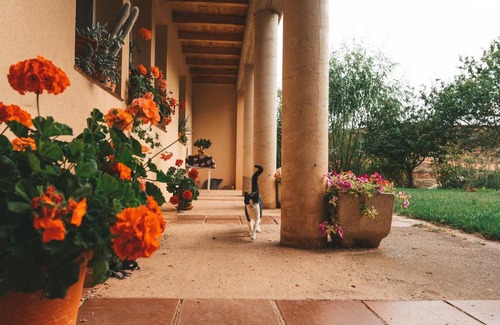 Estollo House | Discover Casa de Campo La Solana: Pet & Child Friendly Stay