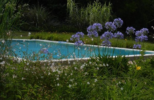 San Javier House | Relax at Casa de Campo San Javier - Pet Friendly & Family Fun