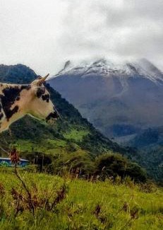 Ibague Ski Chalet | Pet and Child Friendly Stays at Casa de Eventos y Hospedaje Pico de Oro