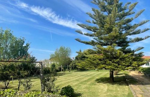 Santa Maria da Feira House | Casa de Fagilde: Family-Friendly Hotel with Pool & Kitchen