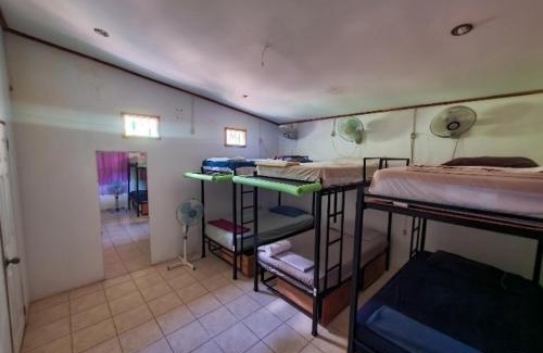 Moyogalpa House | Pet-Friendly Casa de Gio: Rated 9/10 for Family Comfort