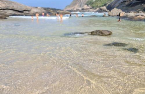 Itacoatiara Apartment | Experience Oceanfront Bliss at Casa De Itacoa Hotel