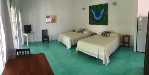 Tlacotalpan Apartment | Pet-Friendly Casa de la Luz Studio - Guest Rated 9.5/10